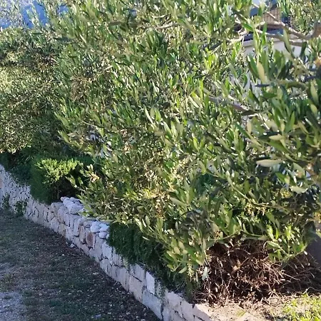 Natasha * Makarska